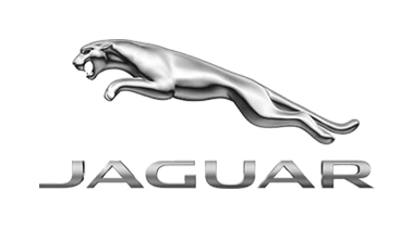 Radiator - Jaguar